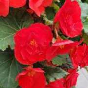 ヒメ日記 2025/11/03 16:56 投稿 八木 鶯谷デッドボール