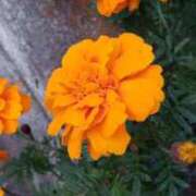 ヒメ日記 2025/11/04 18:30 投稿 八木 鶯谷デッドボール