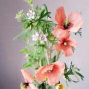 ヒメ日記 2025/11/12 15:29 投稿 八木 鶯谷デッドボール