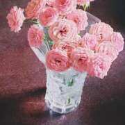 ヒメ日記 2025/11/13 10:34 投稿 八木 鶯谷デッドボール