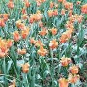 ヒメ日記 2025/11/14 16:09 投稿 八木 鶯谷デッドボール