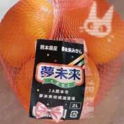 ヒメ日記 2025/12/10 12:51 投稿 八木 鶯谷デッドボール