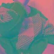 ヒメ日記 2026/01/15 11:09 投稿 八木 鶯谷デッドボール