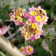 ヒメ日記 2026/02/24 22:29 投稿 八木 鶯谷デッドボール