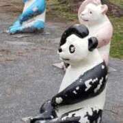 ヒメ日記 2026/02/26 15:19 投稿 八木 鶯谷デッドボール