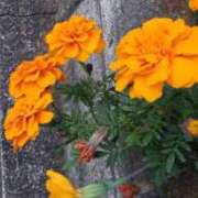 ヒメ日記 2026/02/26 15:29 投稿 八木 鶯谷デッドボール