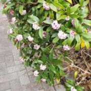 ヒメ日記 2026/02/27 15:39 投稿 八木 鶯谷デッドボール