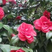 ヒメ日記 2026/03/03 17:52 投稿 八木 鶯谷デッドボール