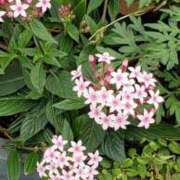 ヒメ日記 2026/03/05 22:09 投稿 八木 鶯谷デッドボール