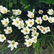 ヒメ日記 2026/03/10 14:49 投稿 八木 鶯谷デッドボール