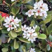 ヒメ日記 2026/03/10 22:39 投稿 八木 鶯谷デッドボール