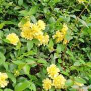 ヒメ日記 2026/03/12 09:49 投稿 八木 鶯谷デッドボール