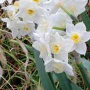 ヒメ日記 2026/03/20 08:29 投稿 八木 鶯谷デッドボール