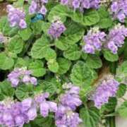 ヒメ日記 2026/04/15 16:42 投稿 八木 鶯谷デッドボール