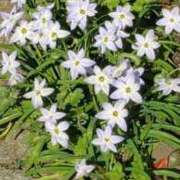 ヒメ日記 2026/04/15 21:33 投稿 八木 鶯谷デッドボール