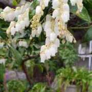 ヒメ日記 2026/04/18 13:19 投稿 八木 鶯谷デッドボール