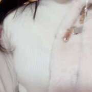 ヒメ日記 2025/12/11 16:48 投稿 こあ 秋葉原ハンドメイド