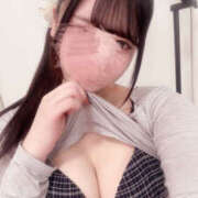 ヒメ日記 2026/01/04 12:47 投稿 こあ 秋葉原ハンドメイド