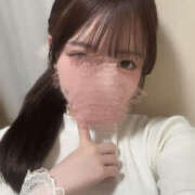 ヒメ日記 2026/01/29 09:50 投稿 こあ 秋葉原ハンドメイド