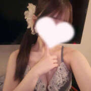 ヒメ日記 2026/02/19 11:09 投稿 こあ 秋葉原ハンドメイド