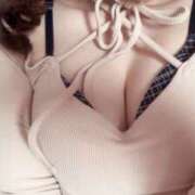 ヒメ日記 2026/03/19 10:52 投稿 こあ 秋葉原ハンドメイド