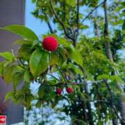 ヒメ日記 2025/11/05 12:37 投稿 みほ 淫乱痴女エステ新宿店