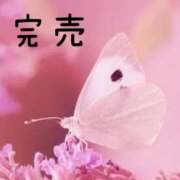 ヒメ日記 2026/01/11 12:51 投稿 みほ 淫乱痴女エステ新宿店