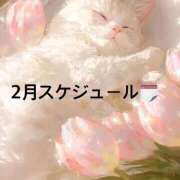 ヒメ日記 2026/02/15 20:41 投稿 みほ 淫乱痴女エステ新宿店