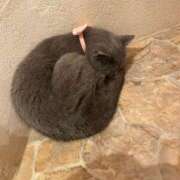 みほ 私の人生 淫乱痴女エステ新宿店