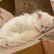 ヒメ日記 2026/03/08 09:02 投稿 みほ 淫乱痴女エステ新宿店