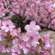 ヒメ日記 2026/03/08 15:23 投稿 みほ 淫乱痴女エステ新宿店