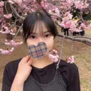 ヒメ日記 2026/03/13 16:32 投稿 みほ 淫乱痴女エステ新宿店