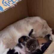 ヒメ日記 2026/04/14 09:02 投稿 みほ 淫乱痴女エステ新宿店