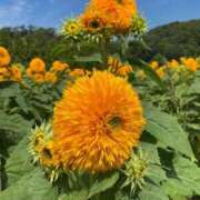 ヒメ日記 2025/11/02 17:53 投稿 みほ 淫乱痴女エステ