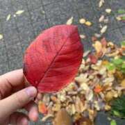 ヒメ日記 2025/11/30 23:31 投稿 みほ 淫乱痴女エステ