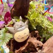 ヒメ日記 2026/01/01 17:46 投稿 みほ 淫乱痴女エステ