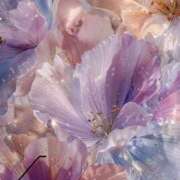 ヒメ日記 2026/01/03 23:35 投稿 みほ 淫乱痴女エステ