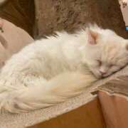 ヒメ日記 2026/03/08 09:00 投稿 みほ 淫乱痴女エステ