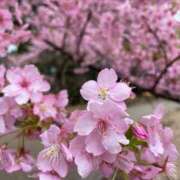 ヒメ日記 2026/03/08 15:38 投稿 みほ 淫乱痴女エステ