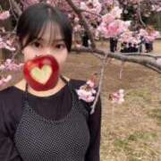 ヒメ日記 2026/03/15 09:12 投稿 みほ 淫乱痴女エステ