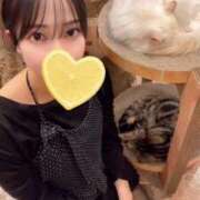 ヒメ日記 2026/03/30 18:34 投稿 みほ 淫乱痴女エステ