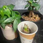 ヒメ日記 2026/04/20 11:43 投稿 みほ 淫乱痴女エステ