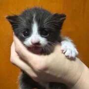 ヒメ日記 2026/04/21 18:15 投稿 みほ 淫乱痴女エステ