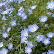 ヒメ日記 2026/04/23 23:02 投稿 みほ 淫乱痴女エステ