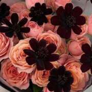 ヒメ日記 2025/10/26 23:08 投稿 みほ 淫乱痴女エステ　上野店