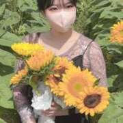 ヒメ日記 2025/10/31 18:34 投稿 みほ 淫乱痴女エステ　上野店