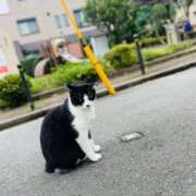 ヒメ日記 2025/11/16 00:17 投稿 みほ 淫乱痴女エステ　上野店