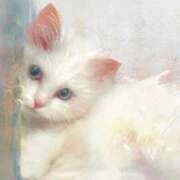 ヒメ日記 2026/02/19 07:37 投稿 みほ 淫乱痴女エステ　上野店