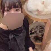 ヒメ日記 2026/03/15 11:47 投稿 みほ 淫乱痴女エステ　上野店