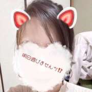 ヒメ日記 2025/11/29 09:16 投稿 宮地(みやぢ) 人妻出逢い会 百合の園 新宿店